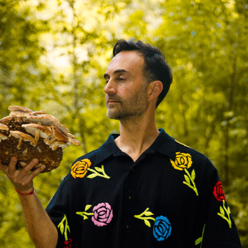 artists-modern-biology