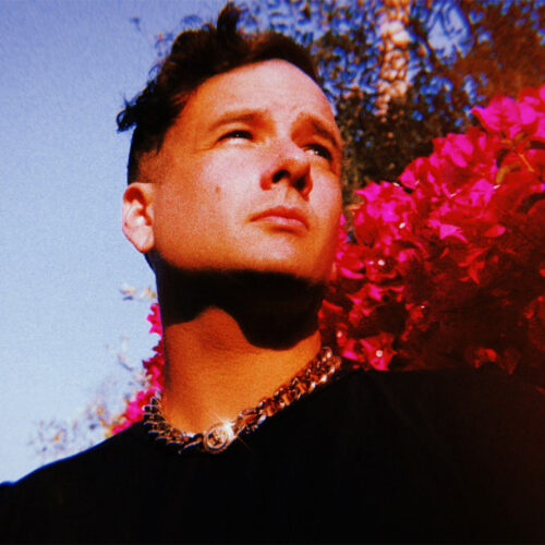 artist-mystery-skulls